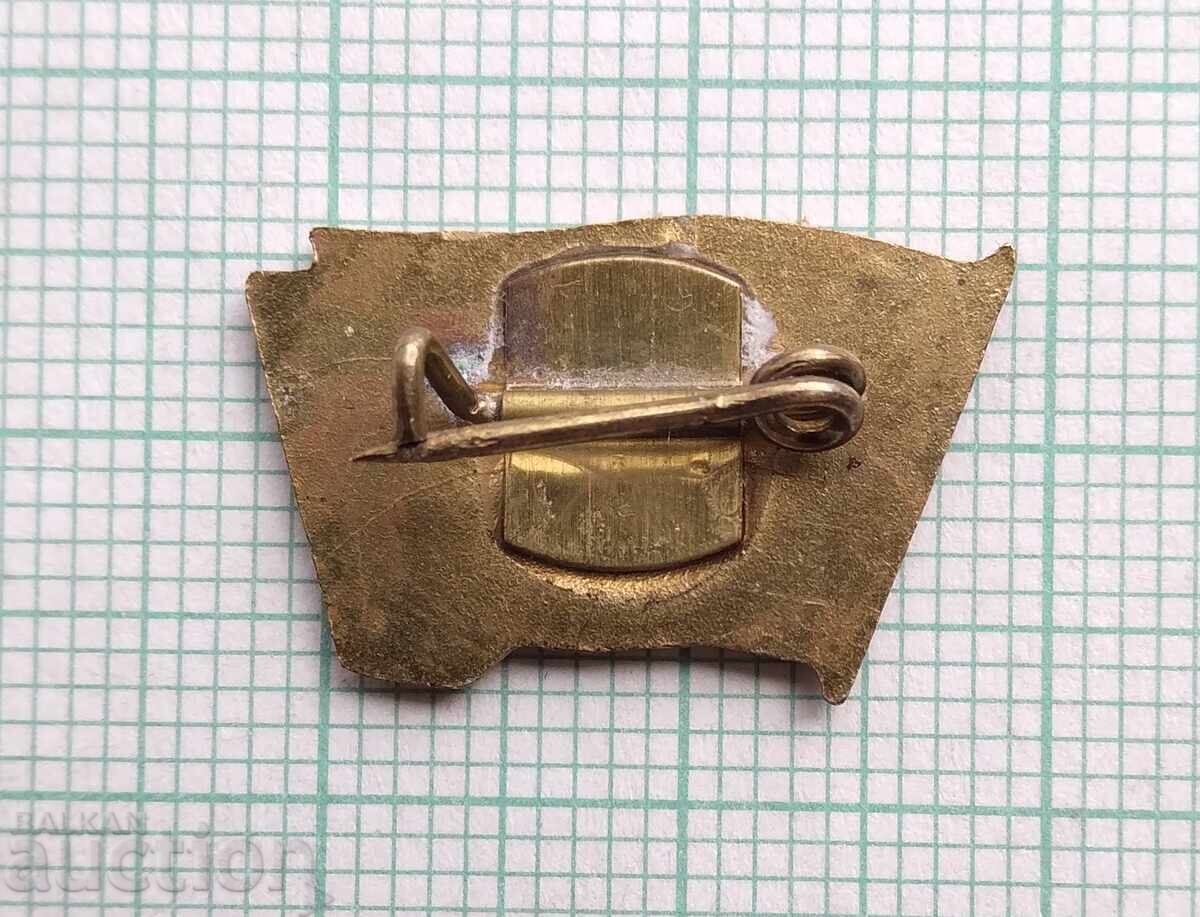 Δημοπρασία 18879 Σήμα - Ομαδάρχης