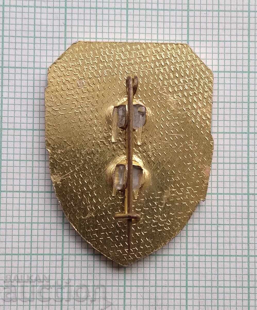 Δημοπρασία 18898 Σήμα - Άριστος Ομαδάρχης