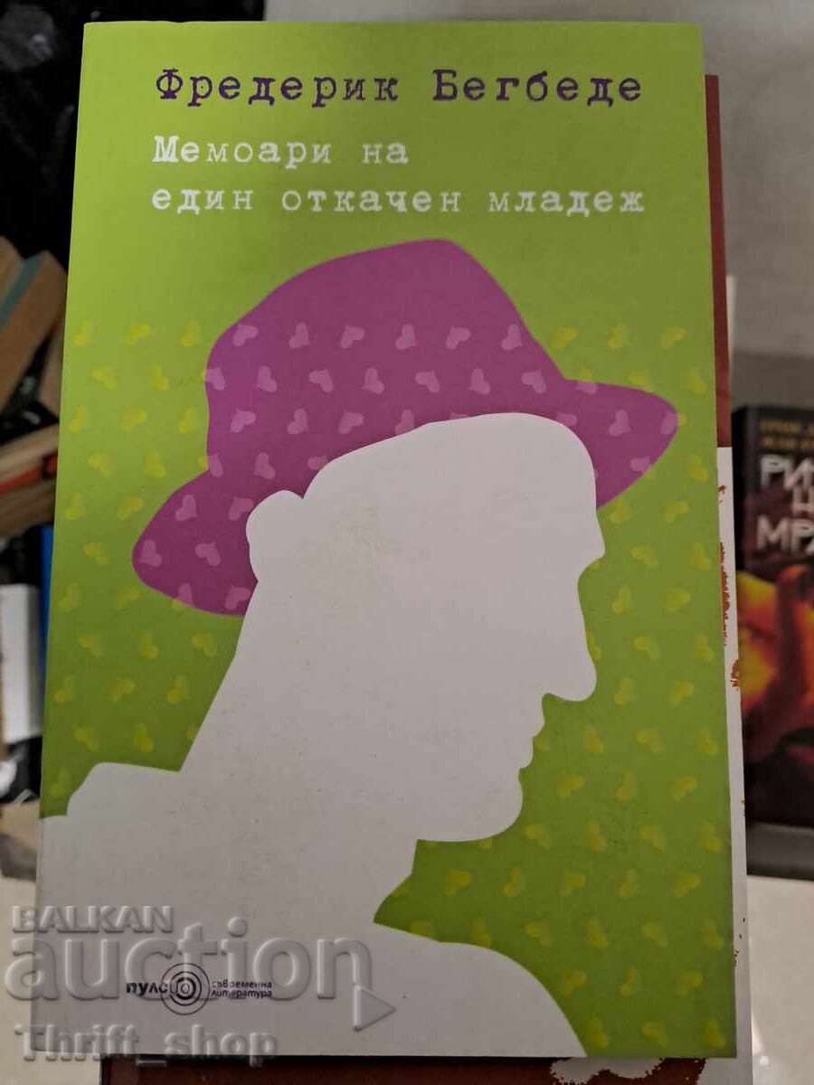 Memoirs of a Mad Young Man by Frédéric Beigbeder