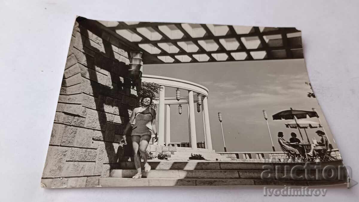 Postcard Druzhba Sladkarnitsa Albatros 1960