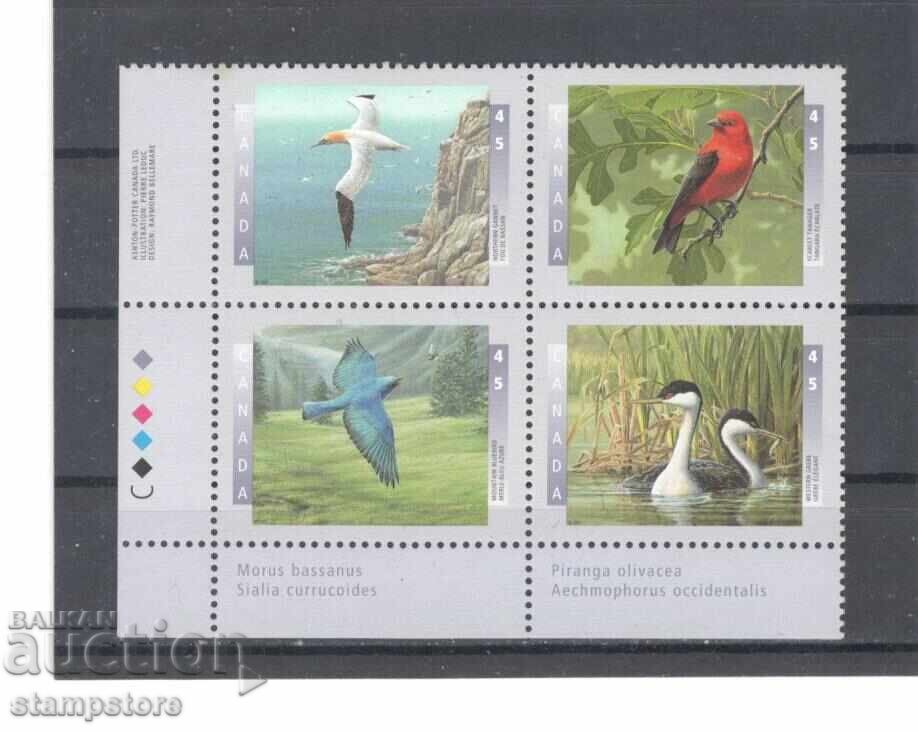 Canada - Birds Canada - Birds