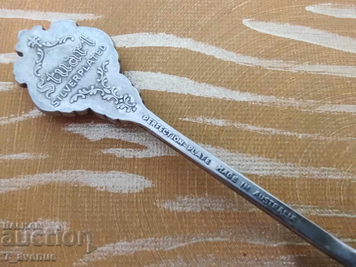 Livrarea Aparat, linguriță argintată, pentru colecție 16.04.25