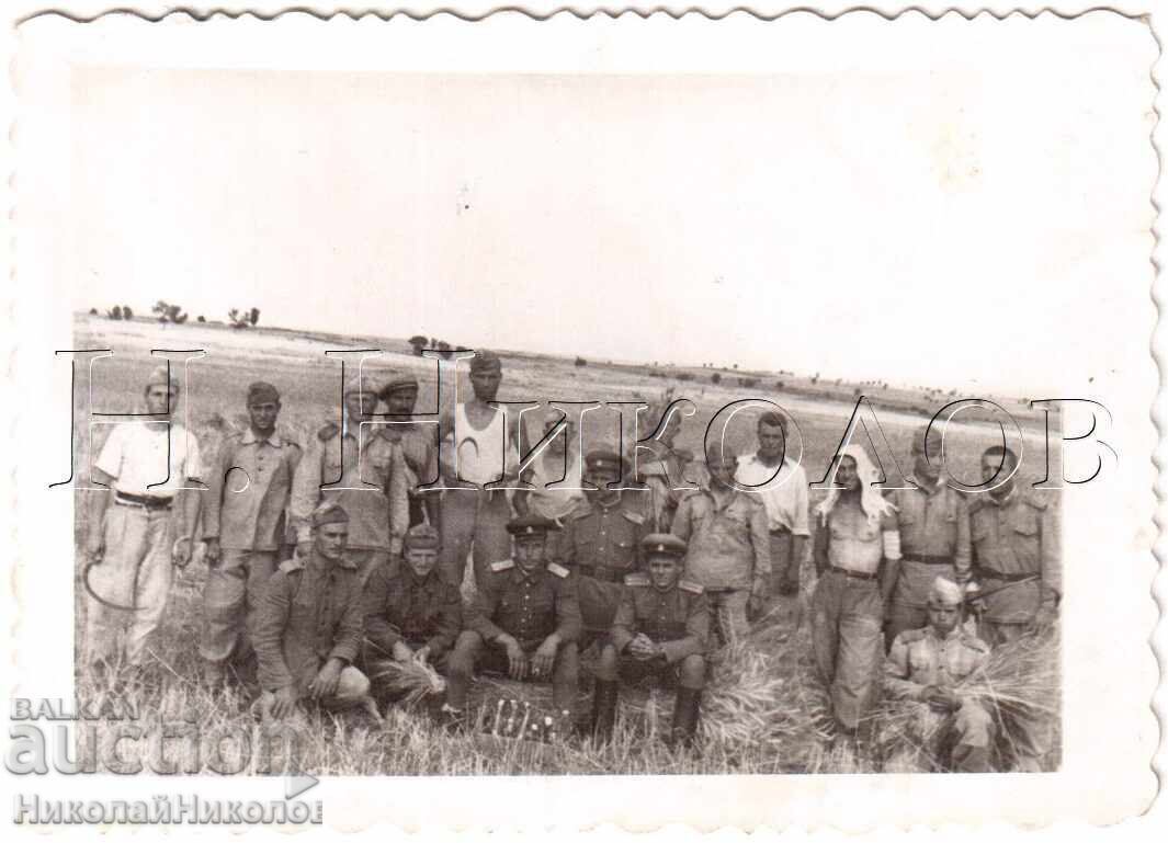 MICĂ POZĂ VECHE SOLDATI ȘI OFIȚERI LA RECOLTA D716