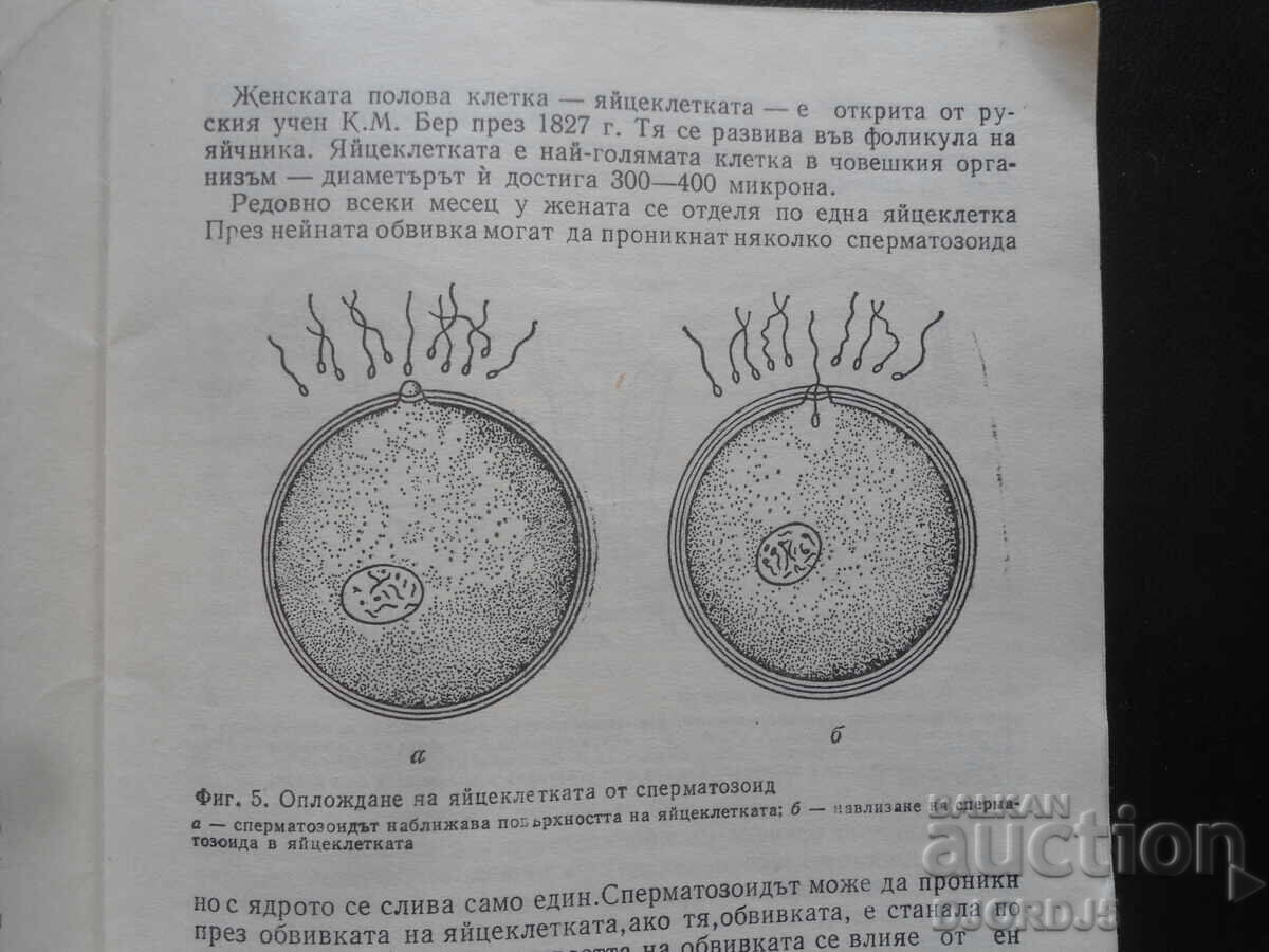 Medicamente contraceptive, S. Davidov cu preț 2.00 BGN | € 1.02 Medicamente contraceptive, S. Davidov cu preț 2.00 BGN | € 1.02