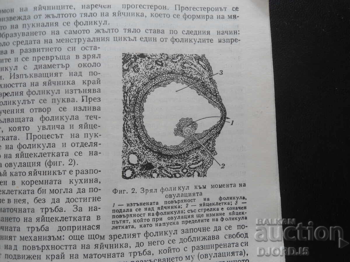 Licitație Medicamente contraceptive, S. Davidov Licitație Medicamente contraceptive, S. Davidov