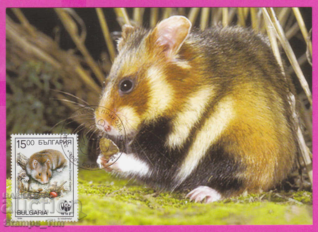 Licitație 271959 / Bulgaria KM Map Maximum 1994 WWF - Fauna animalelor Licitație 271959 / Bulgaria KM Map Maximum 1994 WWF - Fauna animalelor