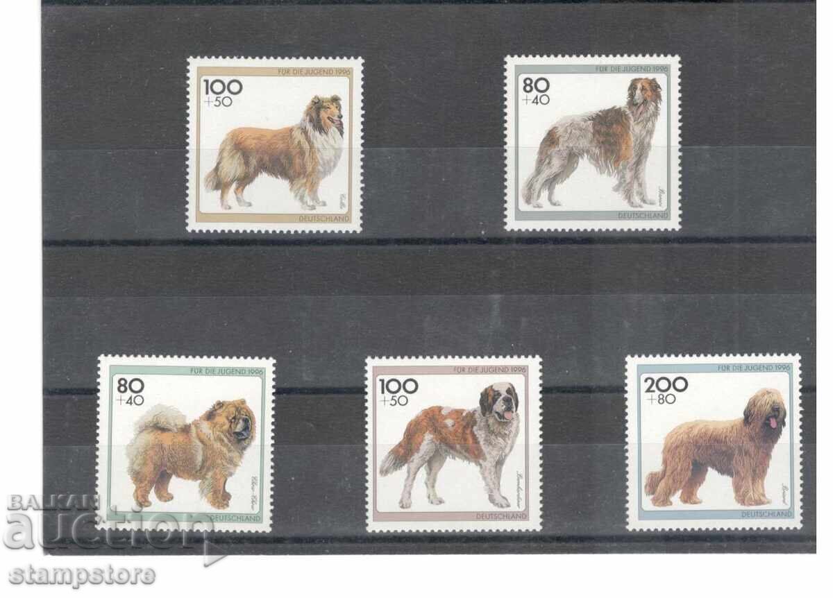 Germania - Câini Germania - Câini