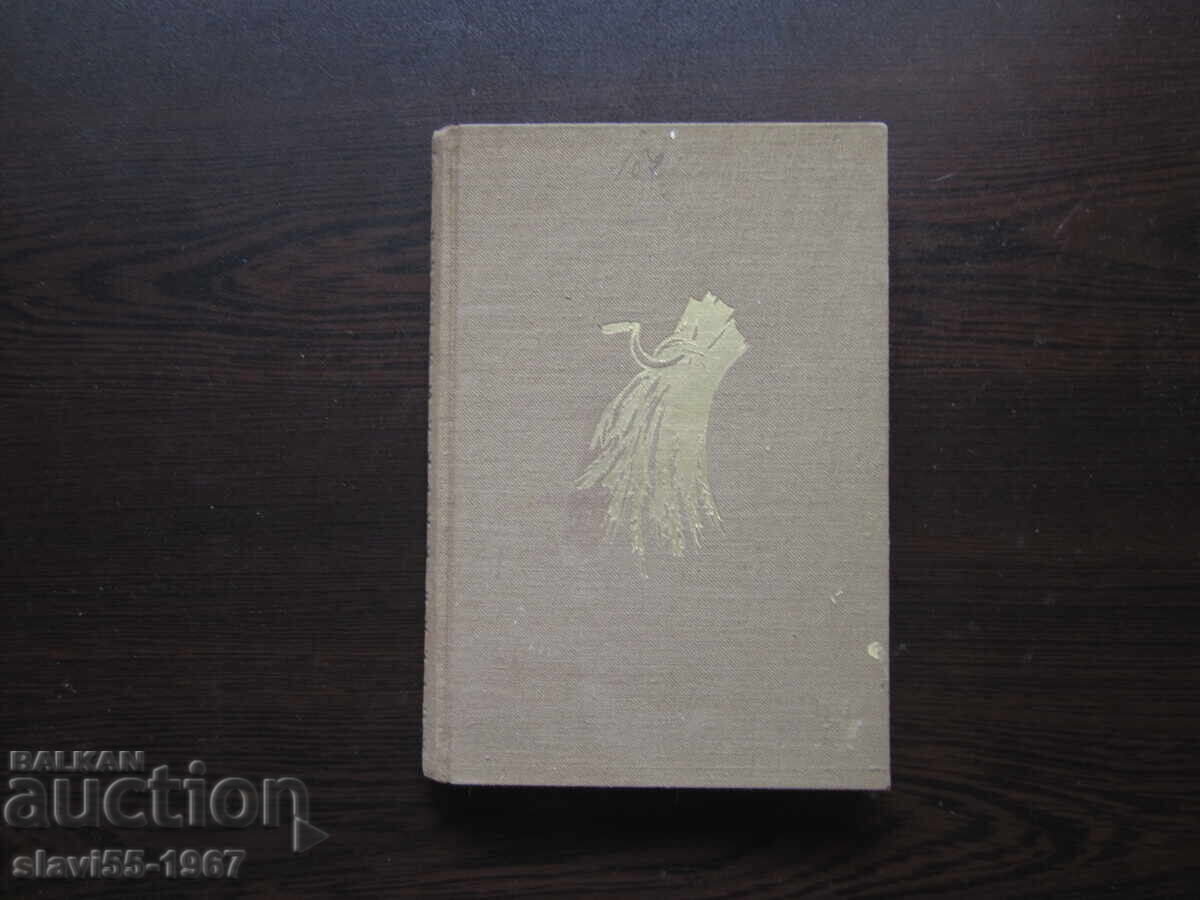 WHIRLWIND BY ANGEL KARALIYCHEV 1940. BZC !!! WHIRLWIND BY ANGEL KARALIYCHEV 1940. BZC !!!