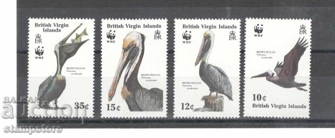 Virgin Islands Britanice 0-vi - Păsări - WWF Virgin Islands Britanice 0-vi - Păsări - WWF