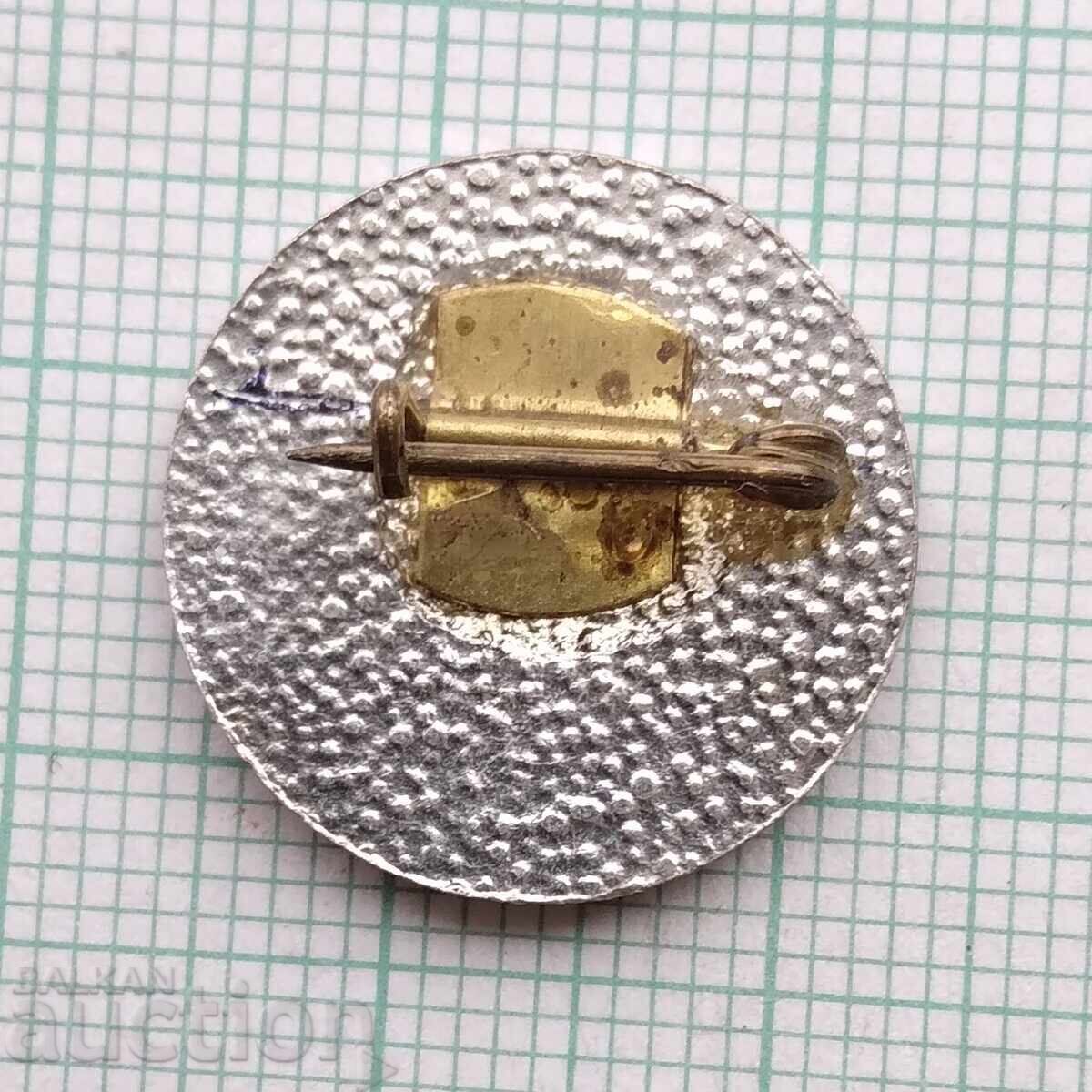 Licitație 18930 Insigna