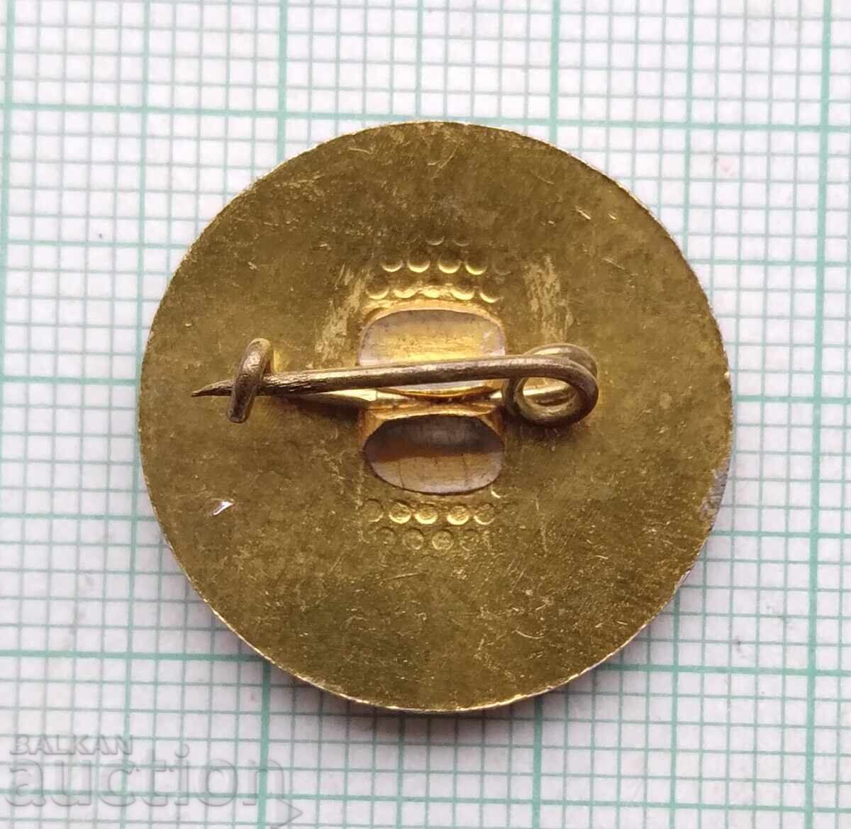 Auction  18934 Badge - Master Kolyu Ficheto