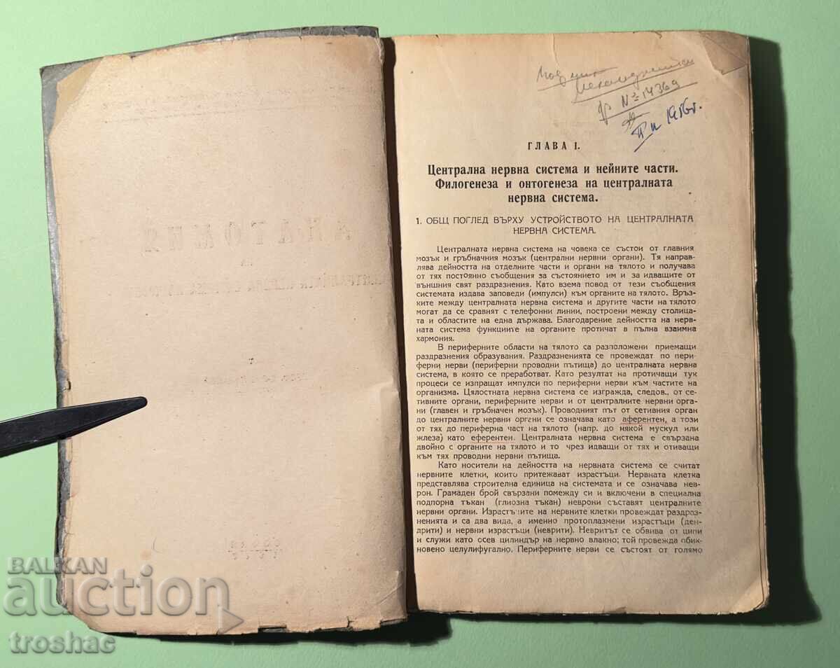 Παλαιό Βιβλίο Ανατομίας του Κεντρικού Νευρικού Συστήματος του Ανθρώπου με τιμή 25.00 BGN | € 12.78