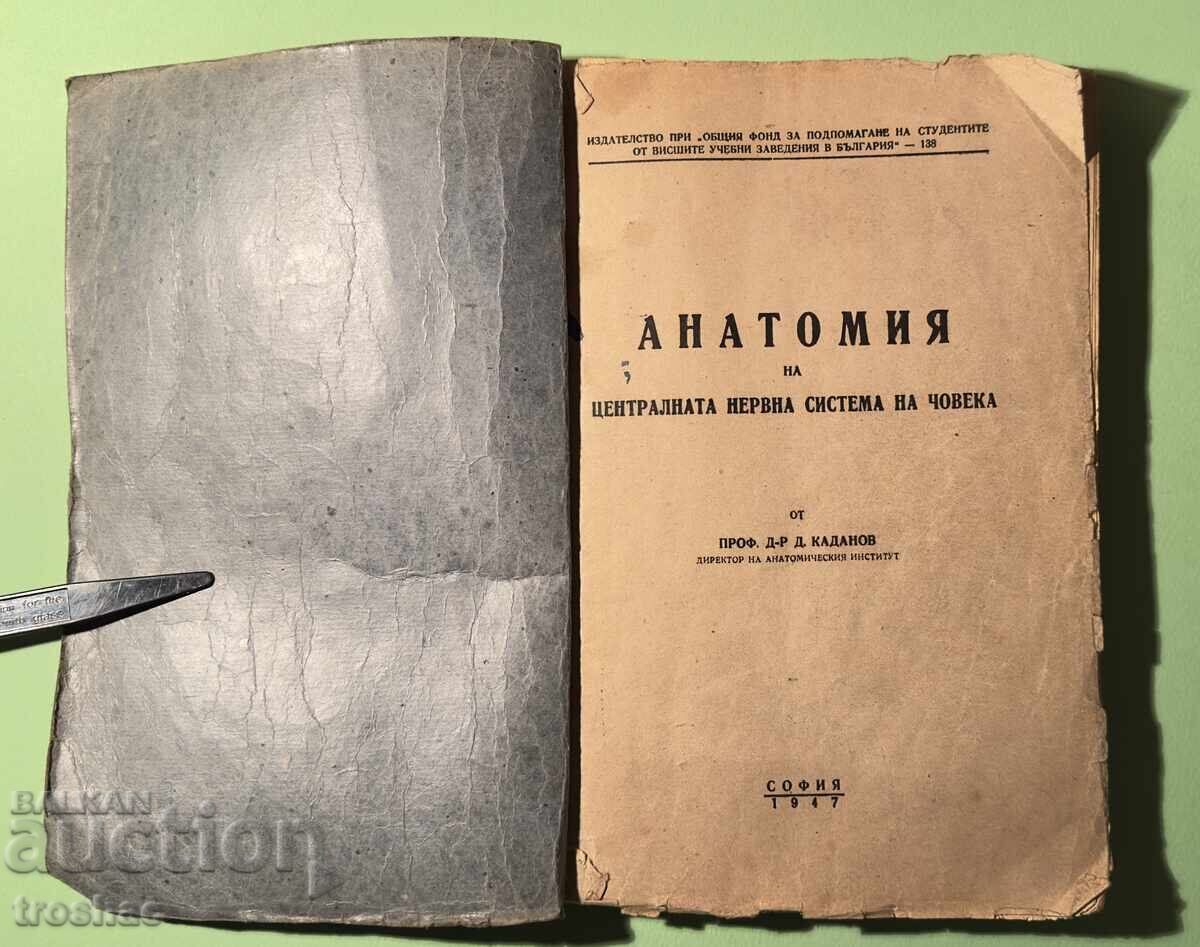 Παλαιό Βιβλίο Ανατομίας του Κεντρικού Νευρικού Συστήματος του Ανθρώπου