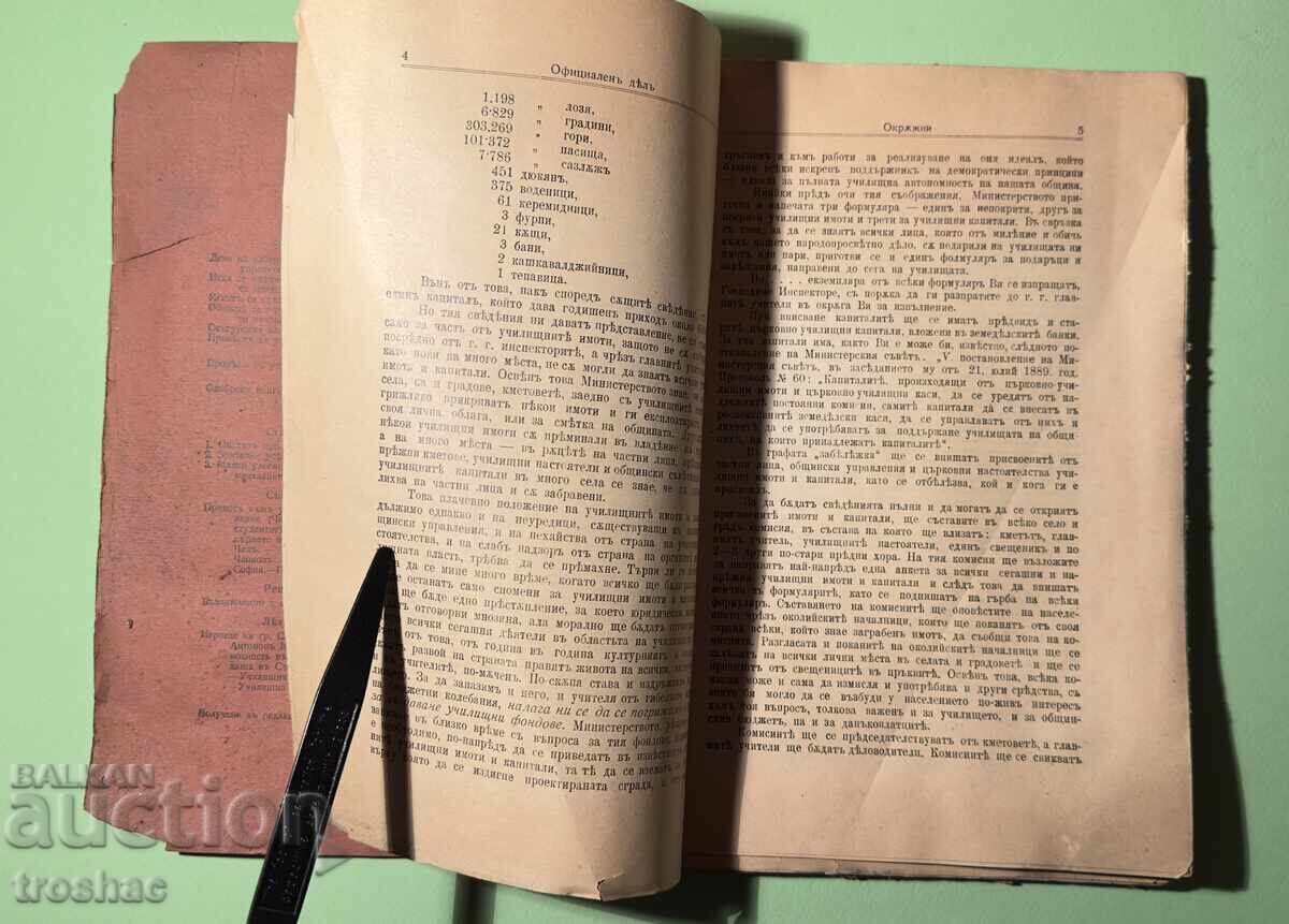 Аукцион Стара Книга Училищен Преглед 1907 г.