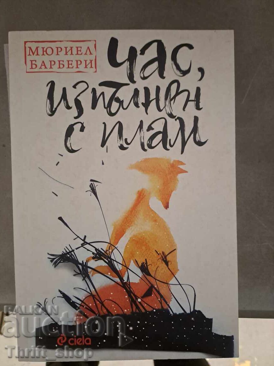 NOU!! Oră plină de planuri NOU!! Oră plină de planuri