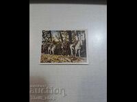 Primul Război Mondial - carte poștală de colecție - 6.2mmX4,8mm