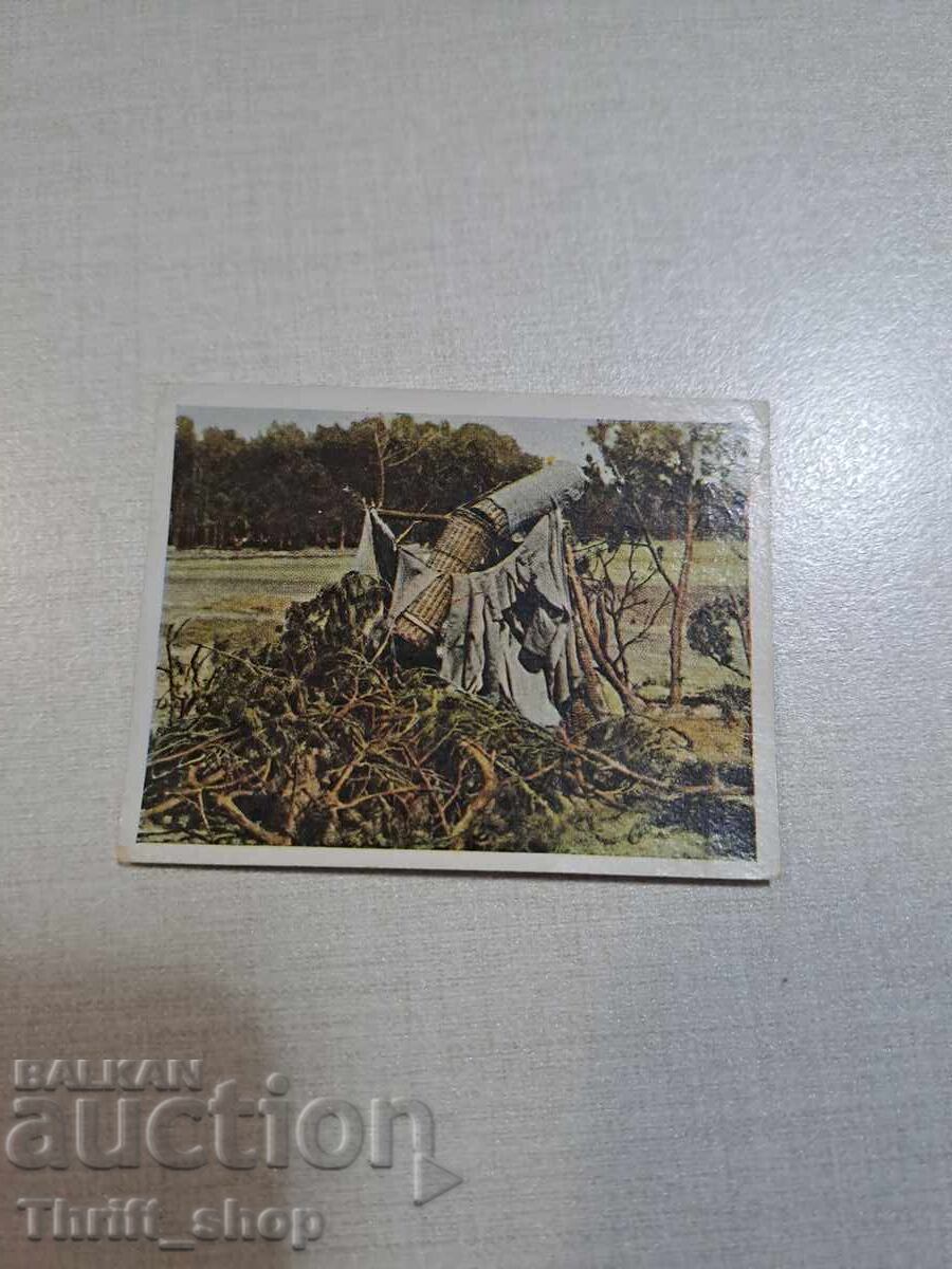 Primul Război Mondial - carte poștală de colecție - 6.2mmX4,8mm