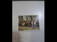 Primul Război Mondial - carte poștală de colecție - 6.2mmX4,8mm