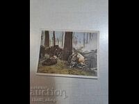 Първа световна война - колекционерска картичка - 6.2ммХ4,8мм