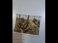 World War I - Collector's Card - 6.2mm x 4.8mm