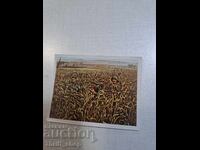 World War I - Collector's Card - 6.2mm x 4.8mm