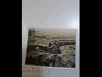 World War I - Collector's Card - 6.2mm x 4.8mm