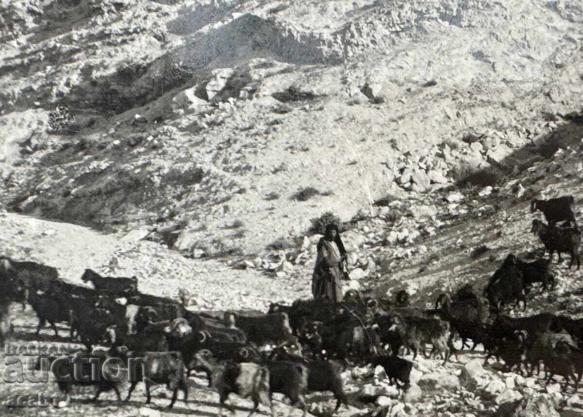 Стерео Пощенска картичка Палестина с цена 17.99 лв. | € 9.20