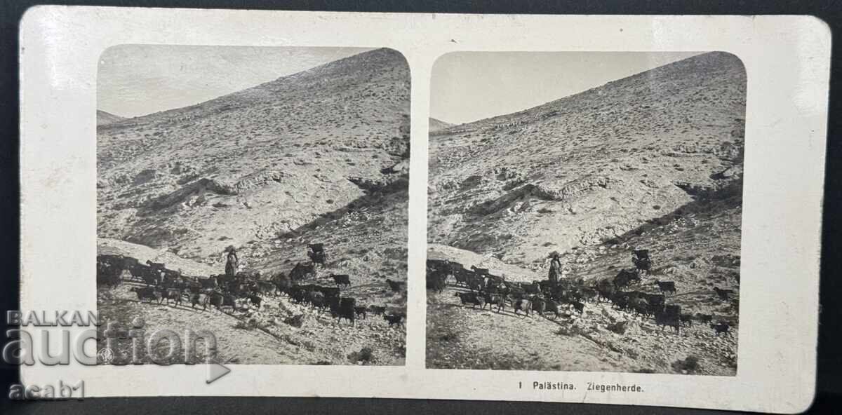 Стерео Пощенска картичка Палестина