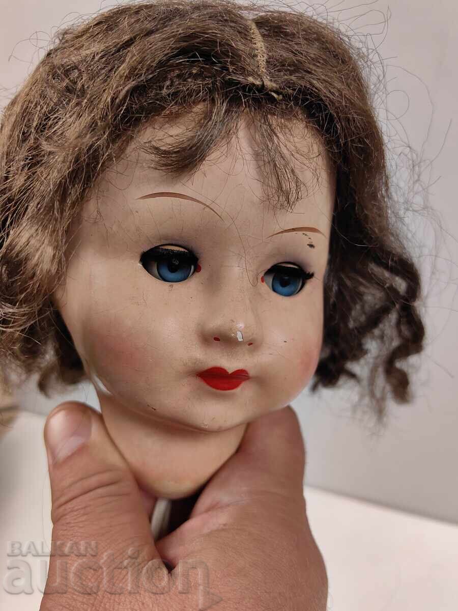 120-ΕΤΗΣ ΣΠΑΝΙΑ ΜΕΓΑΛΗ ΚΟΥΚΛΑ ΑΠΟ ΣΥΝΘΕΤΟ ΥΛΙΚΟ ΠΑΠΙΕ ΜΑΣΕ - 6 120-ΕΤΗΣ ΣΠΑΝΙΑ ΜΕΓΑΛΗ ΚΟΥΚΛΑ ΑΠΟ ΣΥΝΘΕΤΟ ΥΛΙΚΟ ΠΑΠΙΕ ΜΑΣΕ - 6