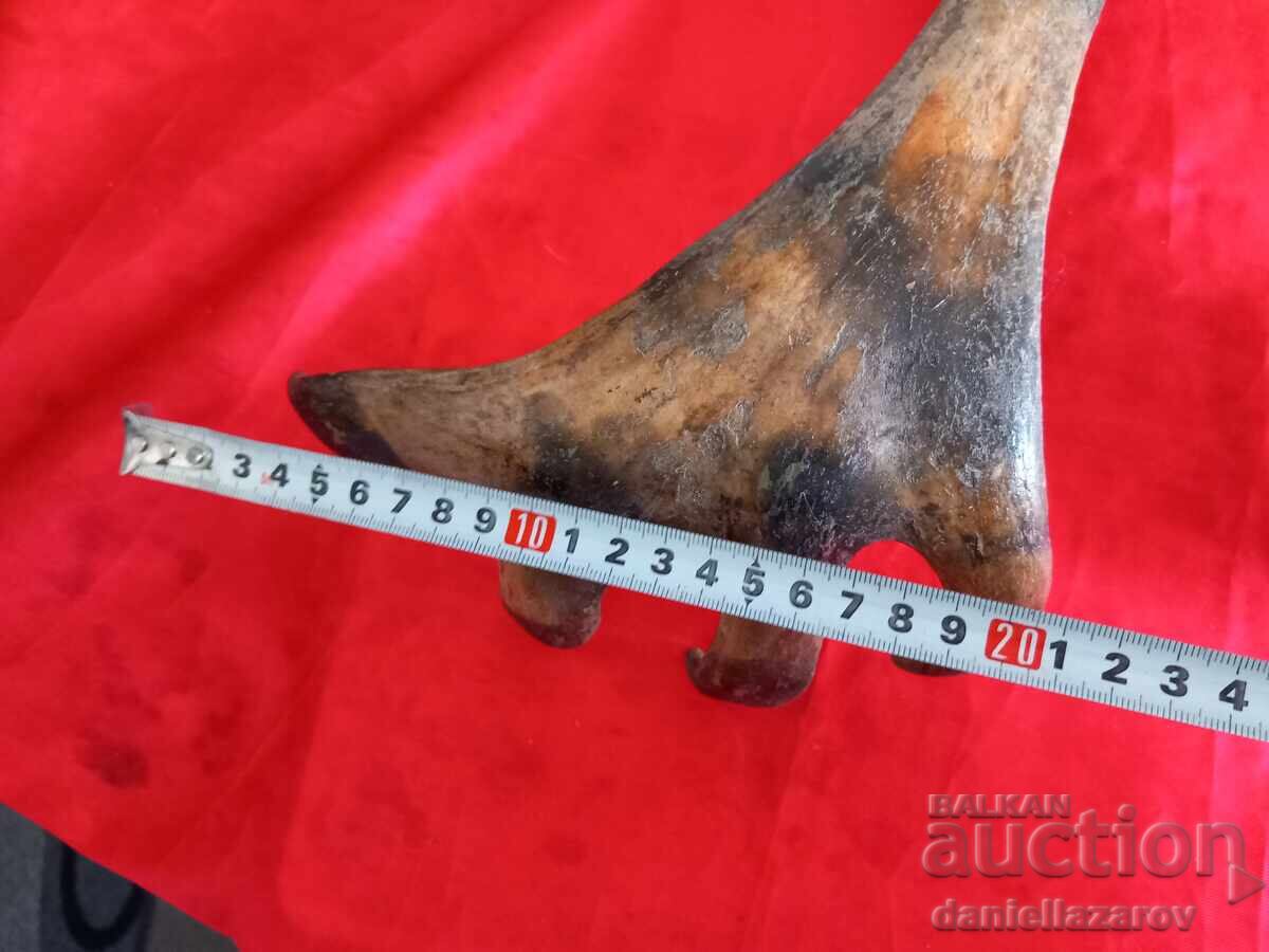 Trofeu de vânătoare, coarne de elan, cerb, căprior - 6 Trofeu de vânătoare, coarne de elan, cerb, căprior - 6