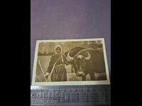 Carte poștală - BALKAN TYPEN - 920