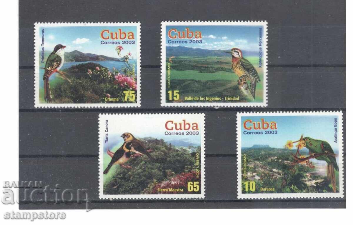 Κούβα - Πουλιά Κούβα - Πουλιά