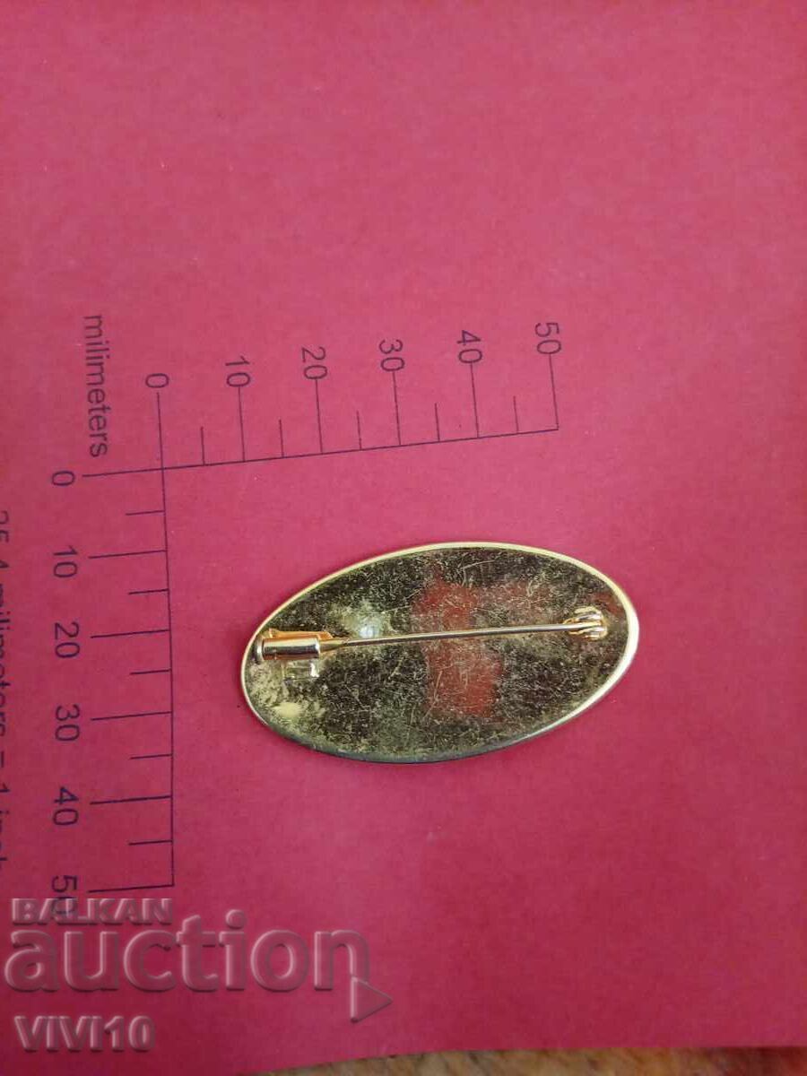 Broșă veche, oțel, Aurire cu preț € 25.56 | 49.99 BGN