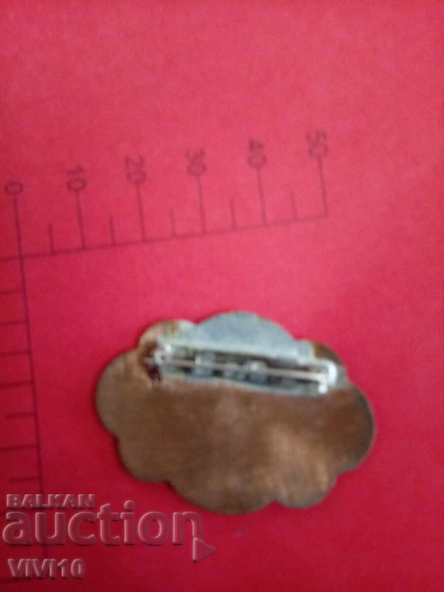Antique Enamel Brooch with price € 30.00 | 58.67 BGN