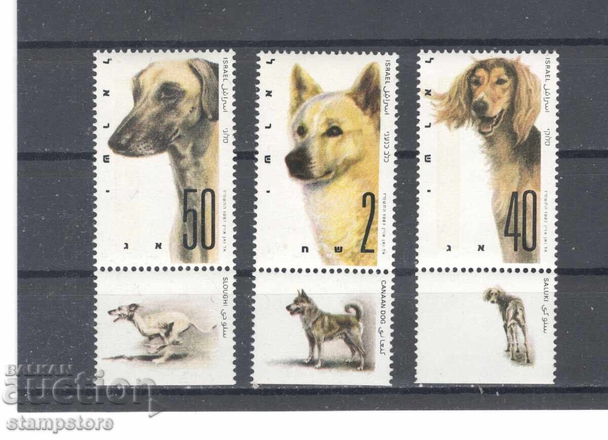 Израел - Кучета Израел - Кучета