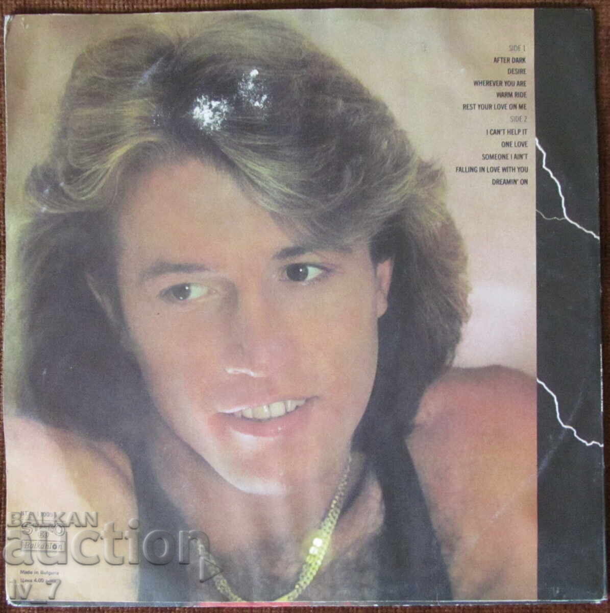 PLĂCI DE GRAMOFON - ANDY GIBB, format mare cu preț € 1.00 | 1.96 BGN
