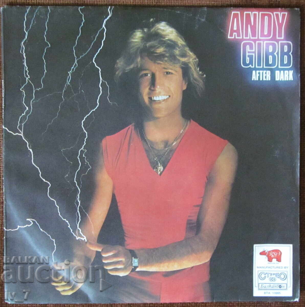 GRAMOPHONE RECORD - ANDY GIBB, large format