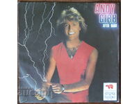 GRAMOPHONE RECORD - ANDY GIBB, large format