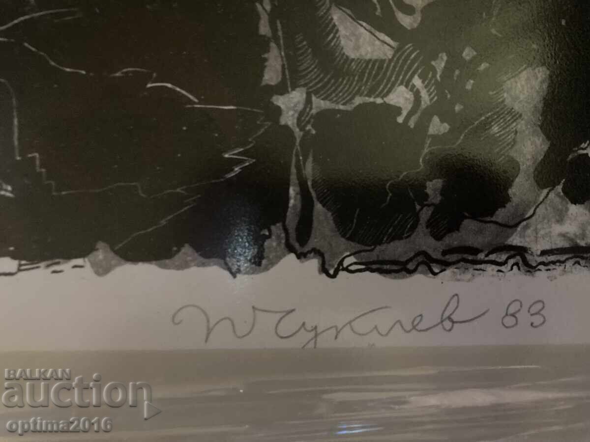 Graphics by Professor Petar Chuklev - 6