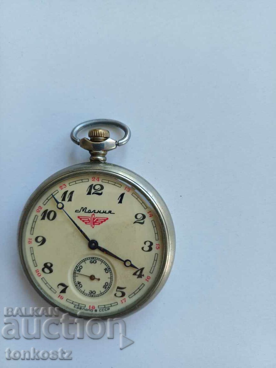 Molnija watch with train