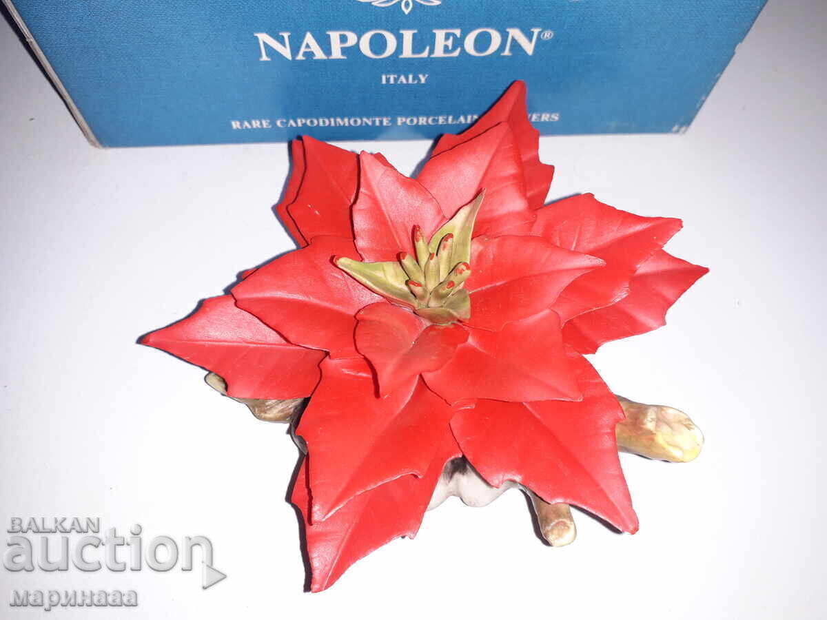 CAPODIMONTE @ KAISER ΦΙΝ ΠΟΡΣΕΛΑΝΗ. ΜΠΙΣΚΟΥΙΤ - 5