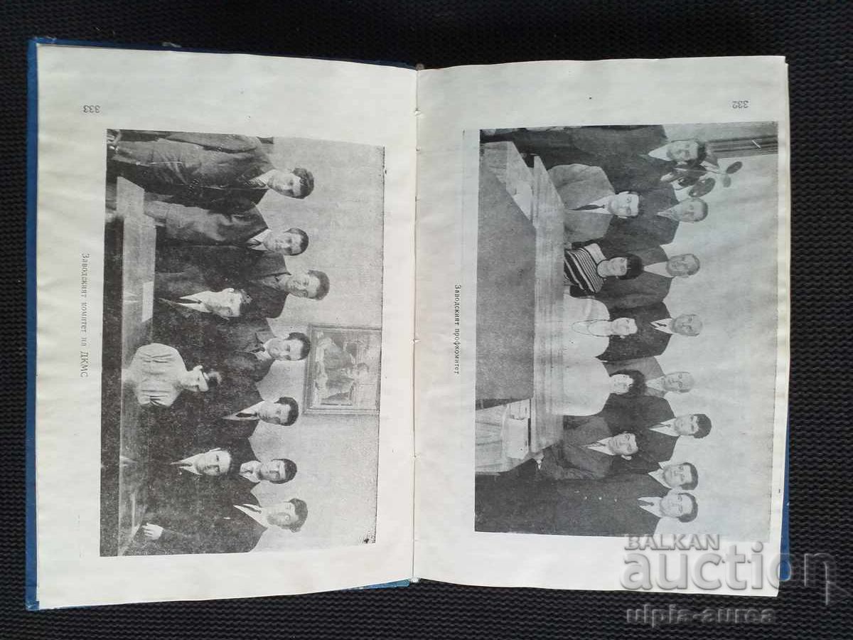 Danube Shipbuilders - 5 Danube Shipbuilders - 5