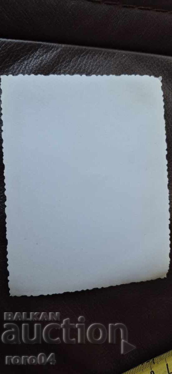 ΜΟΣΚΒΙΤΣ - ΣΟΣ. ΛΑΜΑΡΙΝΕΝΑ ΚΟΛΑ - ΠΑΙΔΙΑ - 6 ΜΟΣΚΒΙΤΣ - ΣΟΣ. ΛΑΜΑΡΙΝΕΝΑ ΚΟΛΑ - ΠΑΙΔΙΑ - 6