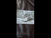 ΜΟΣΚΒΙΤΣ - ΣΟΣ. ΛΑΜΑΡΙΝΕΝΑ ΚΟΛΑ - ΠΑΙΔΙΑ