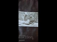 ΜΟΣΚΒΙΤΣ - ΣΟΣ. ΛΑΜΑΡΙΝΕΝΑ ΚΟΛΑ - ΠΑΙΔΙΑ