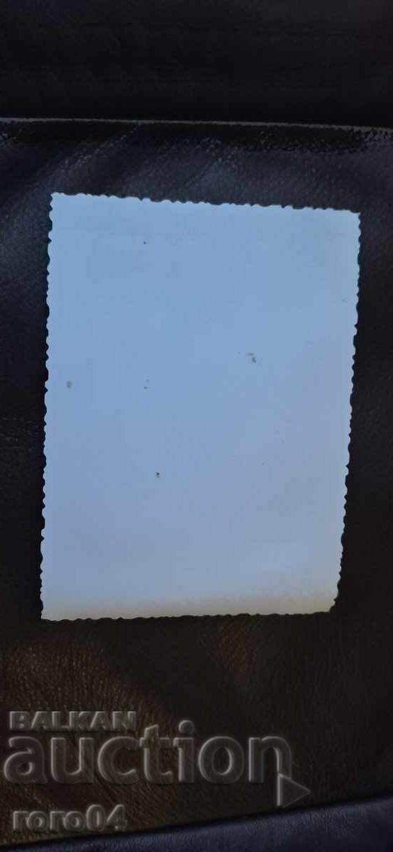 ΜΟΣΚΒΙΤΣ - ΣΟΣ. ΛΑΜΑΡΙΝΕΝΑ ΚΟΛΑ - ΠΑΙΔΙΑ - 6 ΜΟΣΚΒΙΤΣ - ΣΟΣ. ΛΑΜΑΡΙΝΕΝΑ ΚΟΛΑ - ΠΑΙΔΙΑ - 6