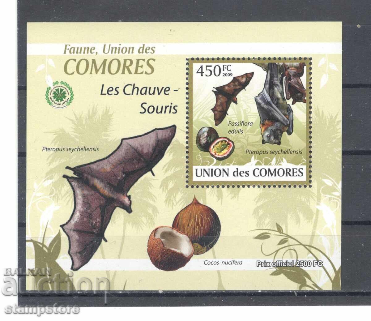 Comoros Islands - Bats