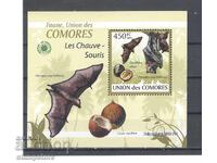 Comoros Islands - Bats