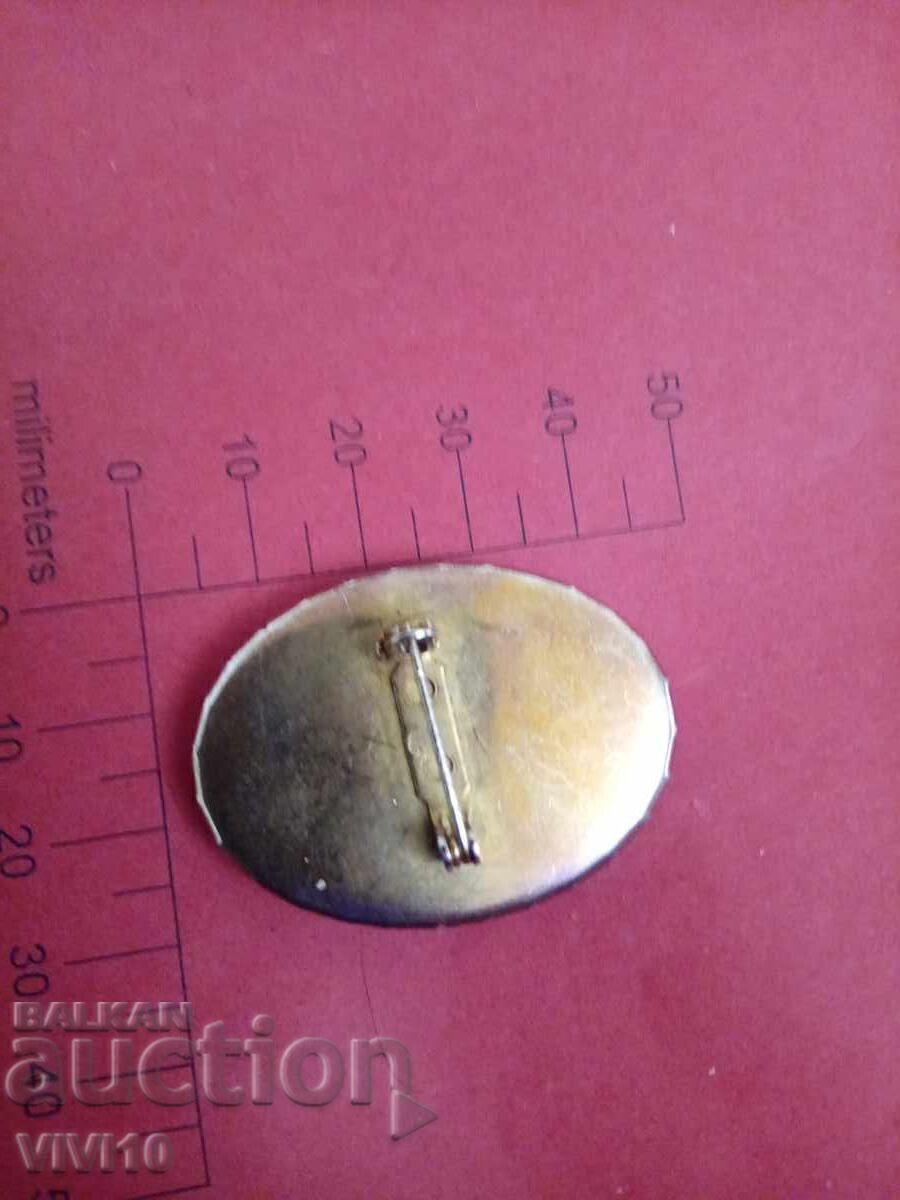 Broșă veche, camee cu preț € 10.00 | 19.56 BGN