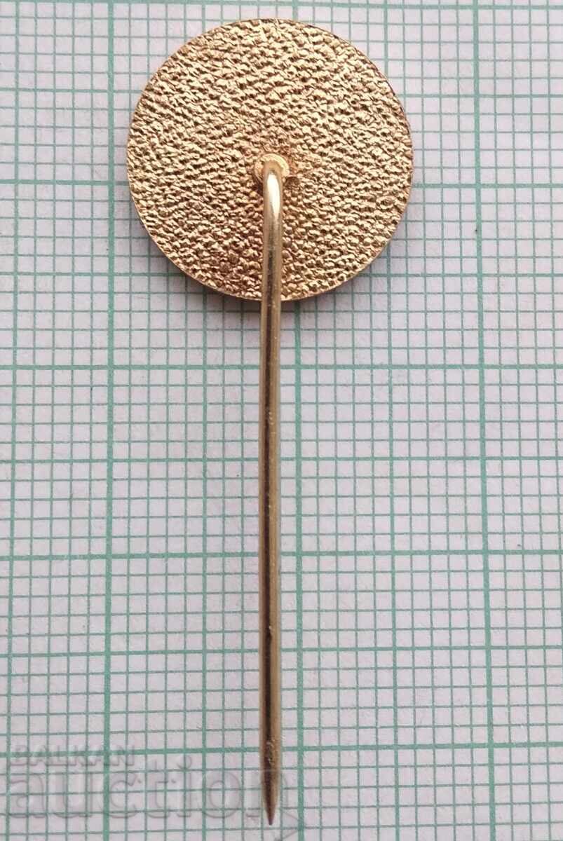 Licitație 18954 Insigna - Curba